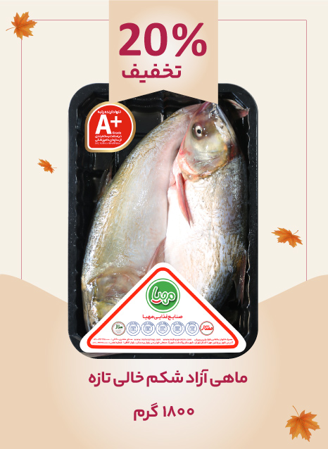 ماهی آزاد شکم خالی تازه 1800 گرم مهیا 